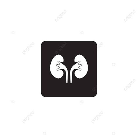 Kidney Icon Icon Urology Vector Vector Icon Urology Vector Png And