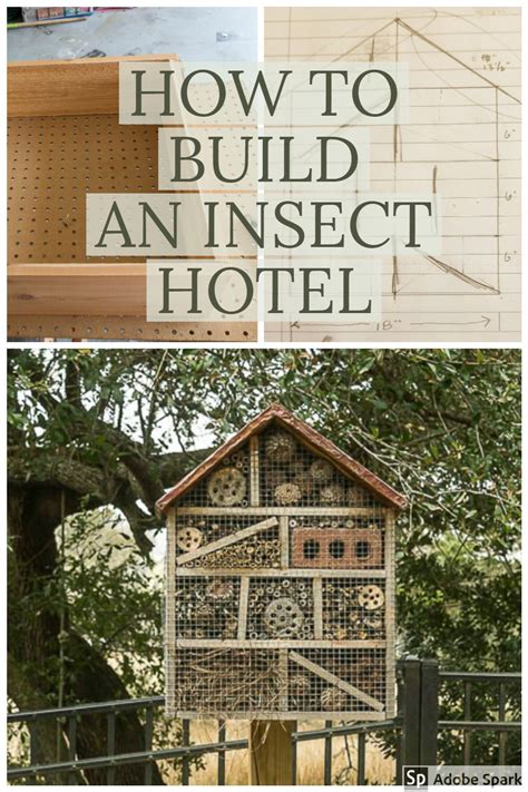 Learn how to build your own insect hotel this webinar will give you the basic knowledge you need to create and easy, inexpensive insect hotel. How to Make a DIY Insect Hotel : an easy backyard project | Insect hotel, Easy backyard ...