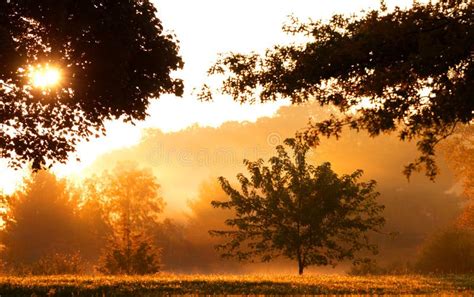 Morning Sun Light Stock Photo Image Of Park Grass Autumn 3336856