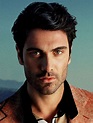 luca calvani | Greek men, Beautiful men faces, Hairy face