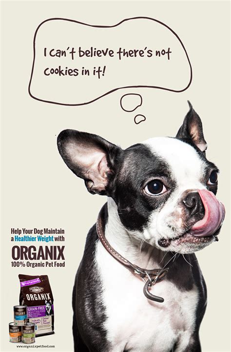 Best Dog Food Ads 2010 Magazine Ad Pedigree Doggie Dentures Dog Teeth