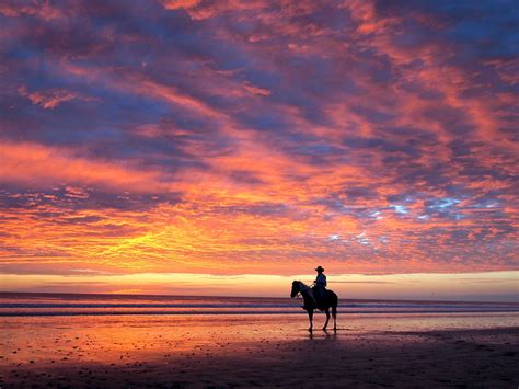 Sunset Wallpaper Horse Background