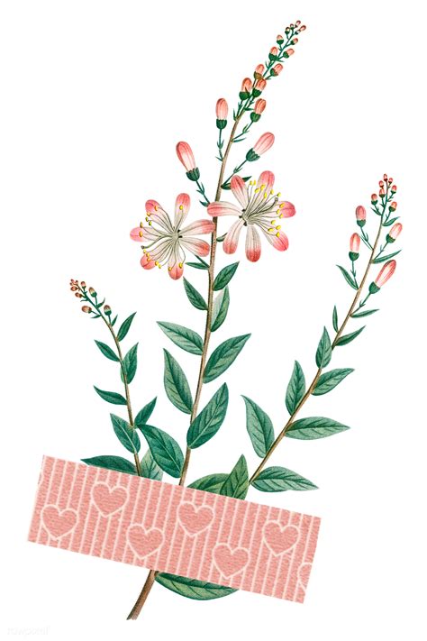 Tarflower With A Washi Tape Sticker Png Royalty Free Stock