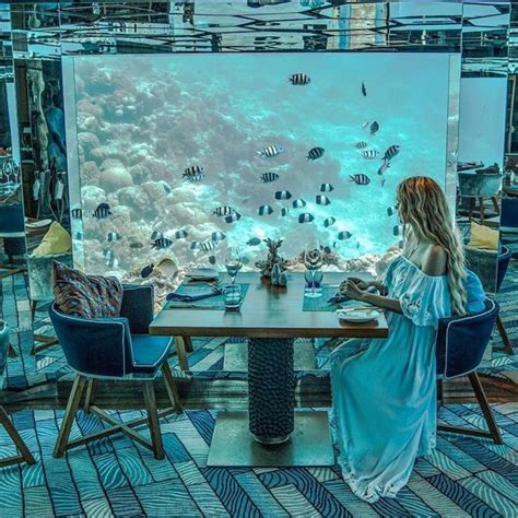 Immersive Underwater Restaurant Invites You To Dine Next To Spectacular