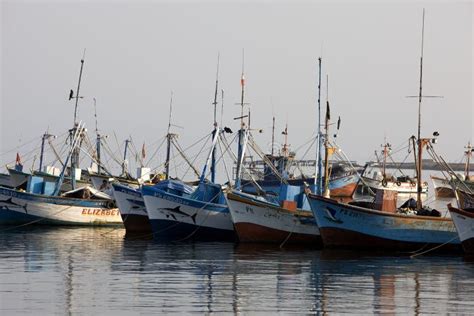 Barcos Pesqueros En El Puerto De Paracas Peru Foto Editorial Imagen
