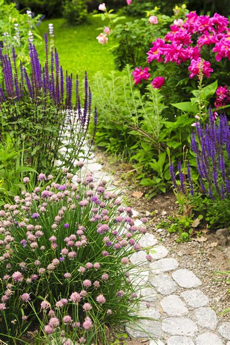 How To Design An Old Fashioned Cottage Garden Gardeners Path