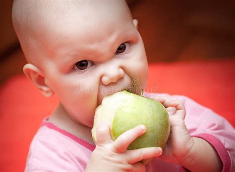Funny Little Hungry Baby Eats Green Apple Stock Photo Image Of People