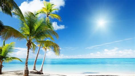 Tropical Beach Wallpaper For Desktop Netbook 1366x768 Hd