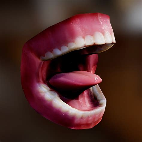 Human Mouth 3d Model Turbosquid 1530442