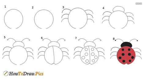 Using mpl toolkits, you can. How To Draw Insects Pictures | Insects Step by Step ...