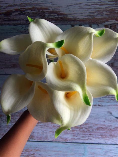 10 Stems Ivory Calla Lilies Bouquets Artificial Ivory Calla Etsy