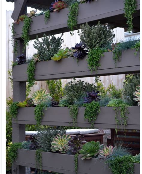 Vertical garden fence | Vertical garden diy, Succulent wall garden, Vertical garden design