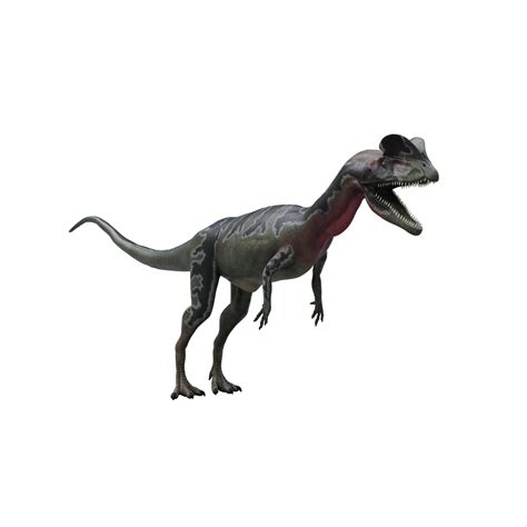 3d Dilophosaurus Dinosaurus Geïsoleerd 21107729 Png