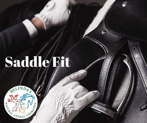 Saddle Fit Why Is It Important Belindas Natural Animal Therapies