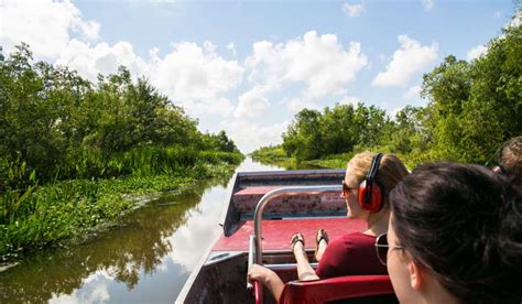 Vogadesigns New Orleans Swamp Tour Hotel Pick Up