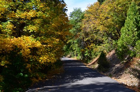 Free Images Landscape Tree Nature Forest Trail