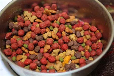 How much time do you have available to spend cooking and shopping for your dog? What is Kibble?