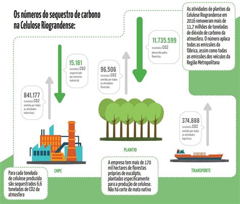 Quais Os Organismos E Processos Relacionados Ao Sequestro De Carbono
