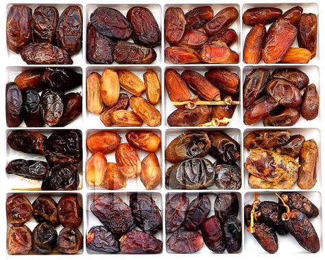 How Many Types Of Dates Are There Types Of Dating Fresh Dates Food