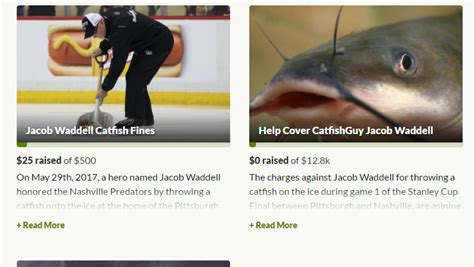 Four Separate Gofundme Campaigns Launched To Help Nashville Catfish Guy