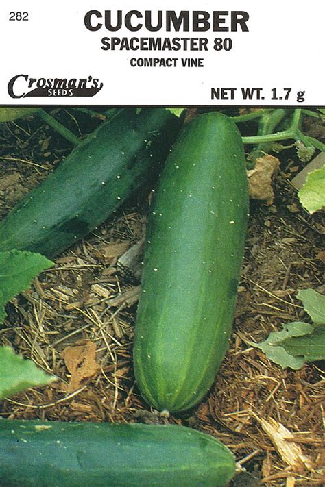 282v Cucumber Spacemaster 80 Compact Crosman Seed Corp