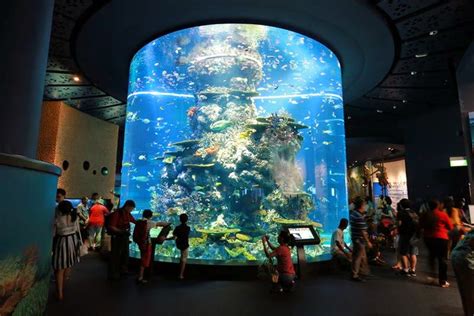 Ritebook Sea Aquarium The Worlds Largest Aquarium Sentosa Singapore