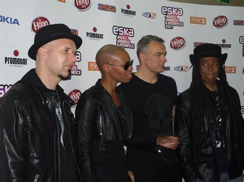 The band are set to tour in 2022. Skunk Anansie - Wikipedia