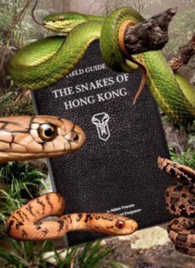 Royal Geographical Society Hong Kong Rgs Hk Hong Kongs Serpents A