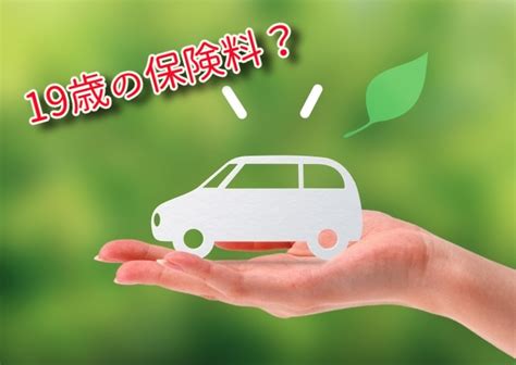 See actions taken by the people who manage and post content. 19歳の自動車保険料の相場は？月額いくら？普通車、軽自動車別 ...