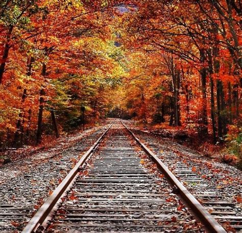Beautiful Fall Railroad Scenery Train Tracks Photography Railroad