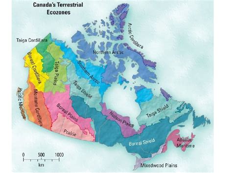The canadian shield is located in nunavut, saskatchewan, manitoba, labrador, quebec, ontario, and the northwest territories. Canadian Shield Climograph : Physical Geography Of Ontario ...