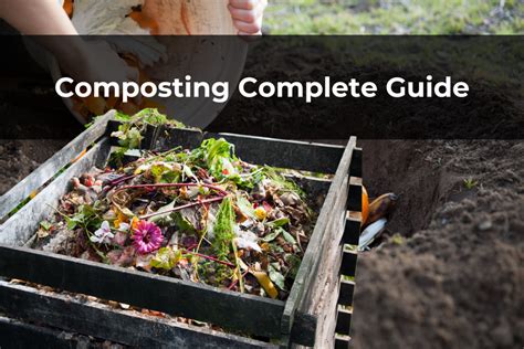 Composting Complete Guide What To Know Real Men Sow