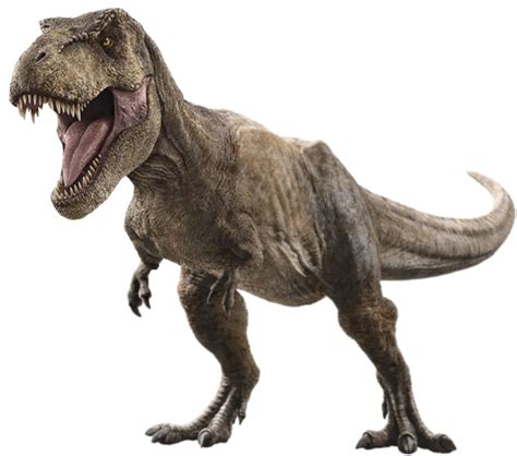 Tyrannosaurus Rex Wikia Jurassic Park Fandom