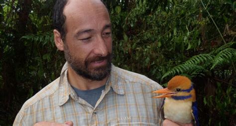 Scientist Kills Rare Moustached Kingfisher Bird Moments After