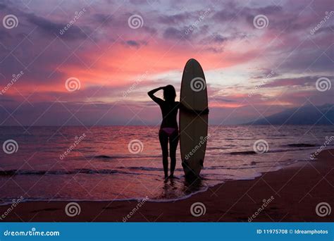 Surf Girl Maui Sunset Royalty Free Stock Photos Image 11975708