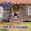 Junior Wells - Come On In This House (1998, CD) | Discogs