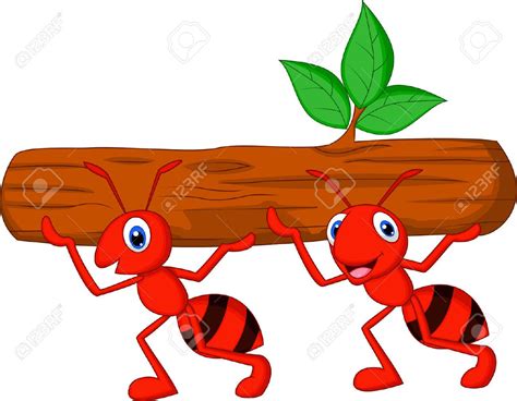 Ant Images Stock Pictures Royalty Free Ant Photos And Stock