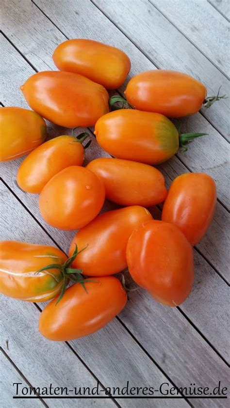 Orange Flaschentomate Tomate Tomaten Und Anderes Gemüse