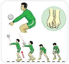 Passing bola voli adalah gerakan mengumpan bola kepada gambar animasi passing bawah. Bagaimana Struktur Gerak Passing Bawah Bola Voli