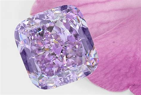 Lilac Diamonds Price Origin Availability And Much More