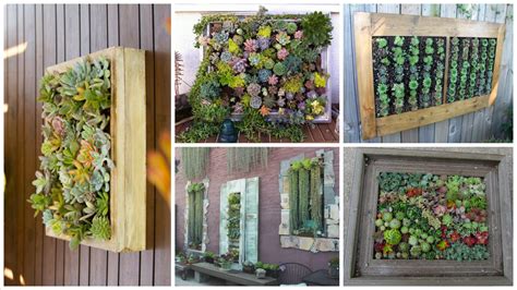 Placing frames on a wall seems self explanatory—first, choose your wall space, then hammer in a nail and hang. 14 DIY Succulent Frame Full Of Life For Wall Arrangement