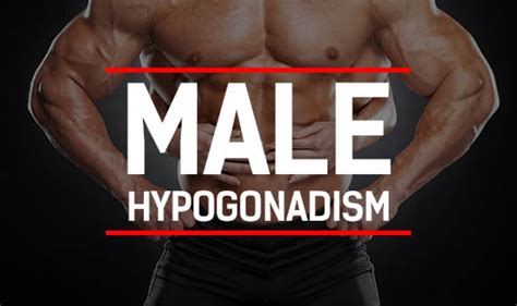 Male Hypogonadism The Wellness Corner
