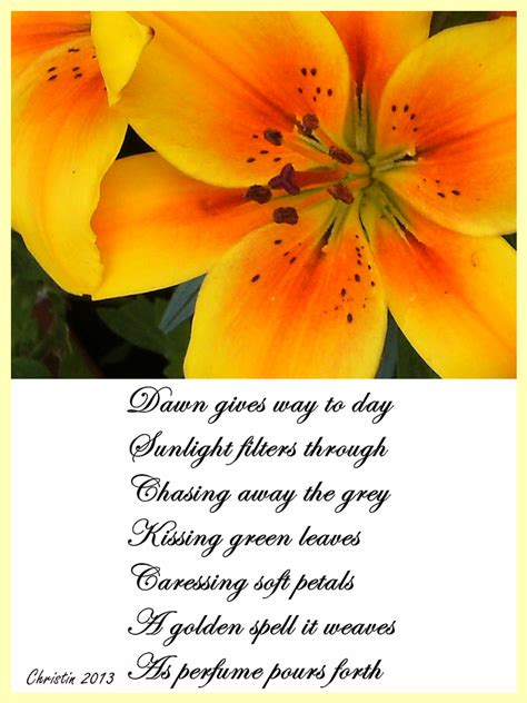 Flower Poems And Quotes Quotesgram