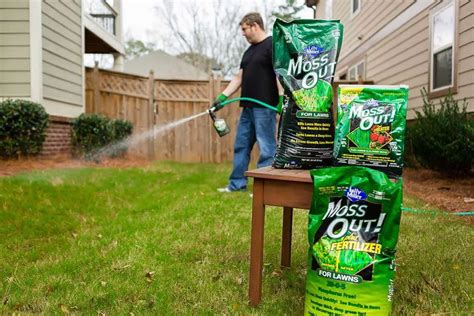 How To Get Moss Out Of Lawn