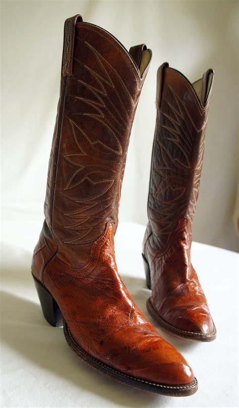 Vintage Dan Post Eel Skin Cowboy Boots In A Beatiful Reddish Etsy