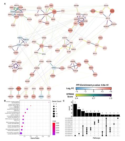 Viruses Free Full Text Discovery Of Rsv Induced Brd4 Protein