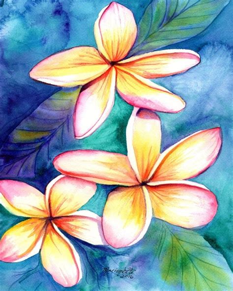 Home Décor Home And Living Plumeria Print From Kauai Hawaii Frangipani