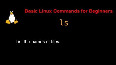 Ls Command In Linux With Examples Free 1
