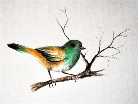 Love This The Work Of Stefan At Etsy Small Bird 2
