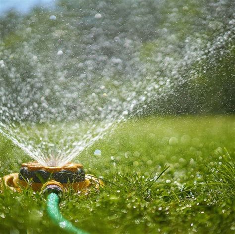 Pulsating or oscillating sprinklers for specialized watering. Best Time to Water Grass - Lawn Watering Tips